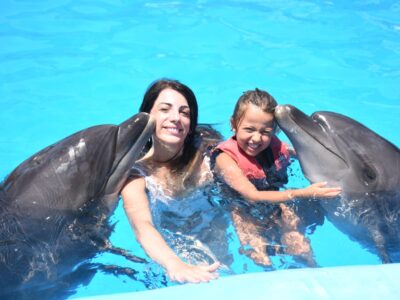 Bagno con i delfini