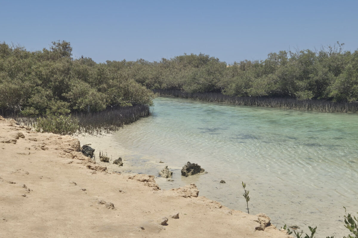 Ras Mohammed via terra - immagine 7