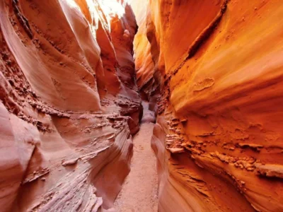 Safari canyon